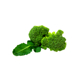 Brocolli